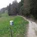 Dies könnte die (ehemalige?) Quelle für die Wasserversorgung des Sennhauses sein. Vielleicht auch die weiter hinten liegende schwarze Quellfassung.