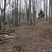 Aufstieg zum Edlisberg.