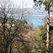 Blick auf den Überlinger See. An der sichtbaren [https://www.hikr.org/gallery/photo3113191.html?post_id=151663 Felswand] bin ich neulich auf einer "Corona-Wanderung" vorbeigekommen