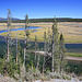 Yellowstone NP