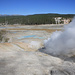 Yellowstone NP