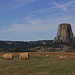 Devil's Tower