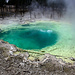 Yellowstone NP