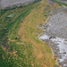 Yellowstone NP