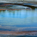 Yellowstone NP