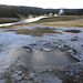 Yellowstone NP