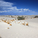 Death Valley NP