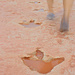 Dino track.
