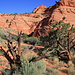 Coyote Buttes Wilderness Area South