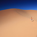 Coral Pink Sand Dunes SP