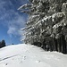 fantastisches Heraustreten auf den flachen Grat ...