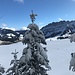 nach einem weiteren, nur ganz kurz über 30° steilen Abschnitt, beginnt ...