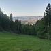 Blick hinunter auf Zürich von einer Wiese oberhalb der Rossweidliegg