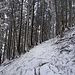 ... bietet lauschige Stimmungsbilder (noch in Schwarz-Weiss) ...