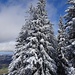 märchenhaft schöne Winterimpressionen 1