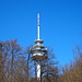 Fernmeldeturm Waldenbuch auf dem Betzenberg - 143 m hoch - wir liefen im Prinzip heute einmal um ihn rum - ohne dass wir ihn sonderlich oft gesehen haben