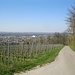 Blick vom Katzenberg nach Westen ins Rheintal. Am Horizont hat man heute ganz schwach die Kontur des Pfälzerwalds gesehen, im Foto ist dies nicht mehr zu erkennen. Der Ort unten ist Weingarten.