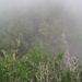 Nebel verwandelt die landschaft in einen Märchenwald