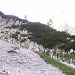 alpines Gehgelände unterm Kamm des Mitterkaisers