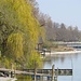 Mettnau-Ufer