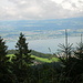 Aussicht auf den Zürichsee