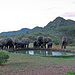 Elefanten am Abend bei der Ngulia Safari Lodge.