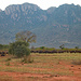 Eine riesige Wasserbüffel Herde im Ngulia Rhino Sanctuary.