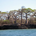 Wasini Island.