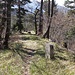 Auf dem als Ränggen (855m) bezeichneten Bergrücken.