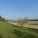Rafzerfeld