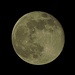 Oggi alle 4.35 era la luna piena, 100% della luna, a 363.511 km di distanza dalla terra e così una super luna.