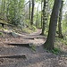 Hinter dem Waldparkplatz "Kaisereiche" folge ich diesem ansteigenden Weg Richtung Bismarckturm.