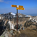 Gipfelwegweiser auf dem Gemmenalphorn (2061,3m).