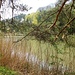 Kleiner Teich in Teusserbad