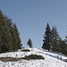 Blick zurück zum Gipfel. 