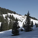 Auf dem Weg zum Col de Soladier. 