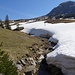 ... bei der Alp Grön