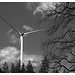 Abschied von den fünf Windmühlen
