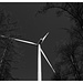 im Rücken der Windmühle