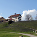 Schloss Dottenwil