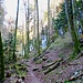 In der Wolfsschlucht. Rechts siehst du den zweiten Wegweiser. NICHT dort hochgehen! Einfach auf dem Pfad von dem du kommst geradeaus weitergehen.
