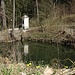 Der kleine Teich am Marienbründl...