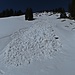 Beim Abstieg zur Gatteralp passiere ich dieses Schneebrett/Gleitschneelawine. Dieses Jahr war die Schneemenge nicht sehr üppig, mit mehr Schnee kann hier durchaus was passieren.