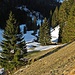 Morgenstimmung im lieblichen Aubachtal.