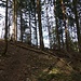 Überall breit und deutlich: der unbeschilderte Wanderweg zum Keilkopf