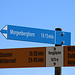 Im Rengglipass (1879m) ist der alpine Bergweg aufs Morgenberghorn angezeigt.