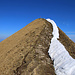 Auf den letzten 25 Höhenmetern zum Gipfel vom Morgenberghorn (2248,8m).