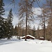 durch winterliche Traumladschaft