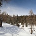 links eines unscheinbaren Tälchens dahin