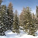 noch tiefster Winter